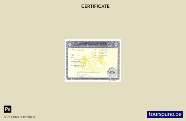 Plantilla de certificado de nacimiento de Pensilvania de EE. UU. lista para impr
